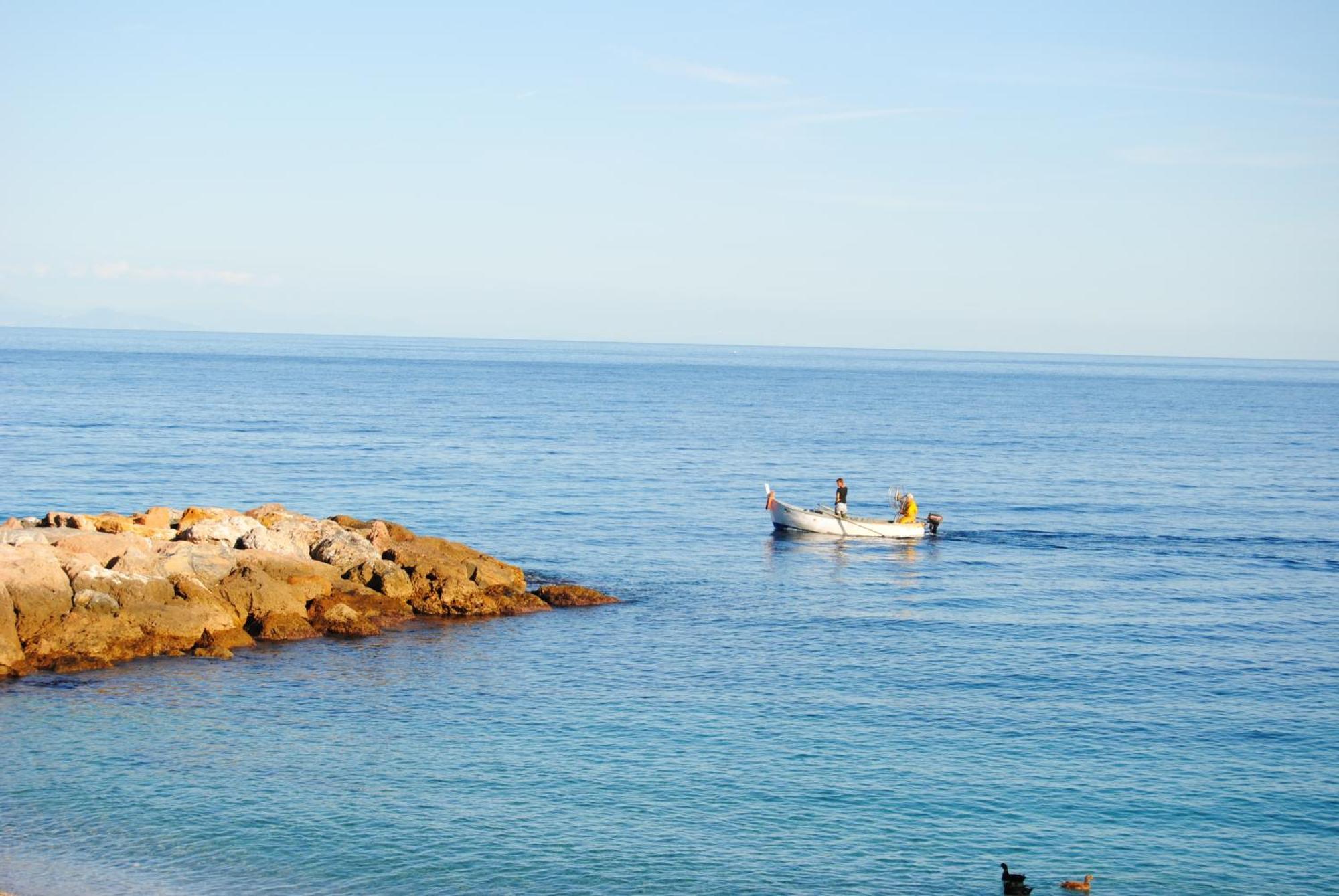 Hotel Mimosa Spotorno Dış mekan fotoğraf